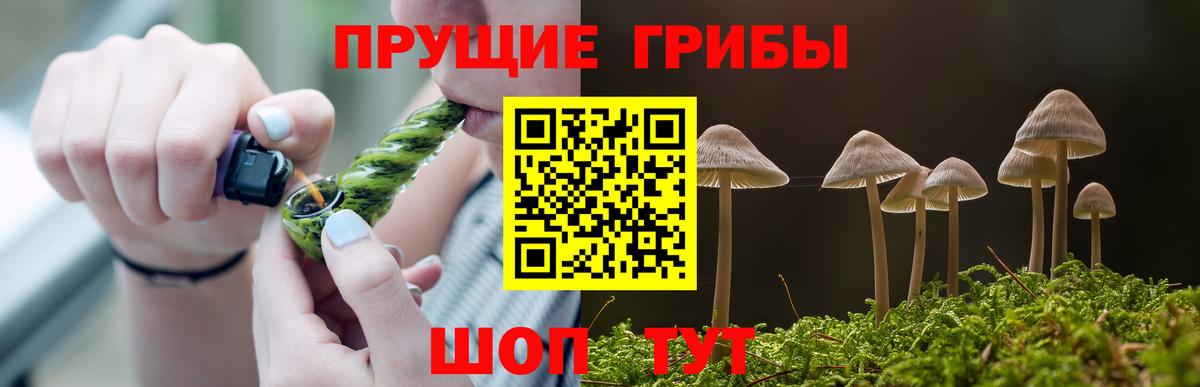 Галлюциногенные грибы Psilocybe Ростов-на-Дону